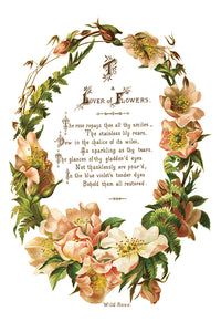 Lover of Flowers IOD TRANSFER - 8" x 12" - 8 Page Pad