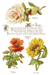 Lover of Flowers IOD TRANSFER - 8" x 12" - 8 Page Pad