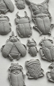 Specimens Decor Mould by IOD - Iron Orchid Designs