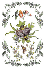 Load image into Gallery viewer, FAIRYTALE FLORALS IOD TRANSFER, 8 Pages, 8” X 12”, Iron Orchid Designs