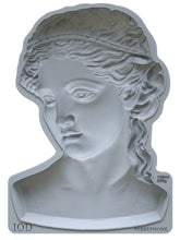 Load image into Gallery viewer, PERSEPHONE IOD MOULD, 5” X 7”, Iron Orchid Designs