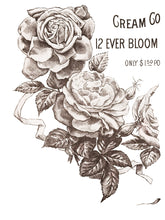 Load image into Gallery viewer, May&#39;s Flowers IOD Transfer 12&quot; x 16&quot; | 4 Page Pad | Iron Orchid Designs