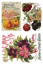 Load image into Gallery viewer, SEED CATALOGUE IOD TRANSFER - 8&quot; x 12&quot; - 8 Page Pad