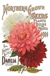 SEED CATALOGUE IOD TRANSFER - 8" x 12" - 8 Page Pad