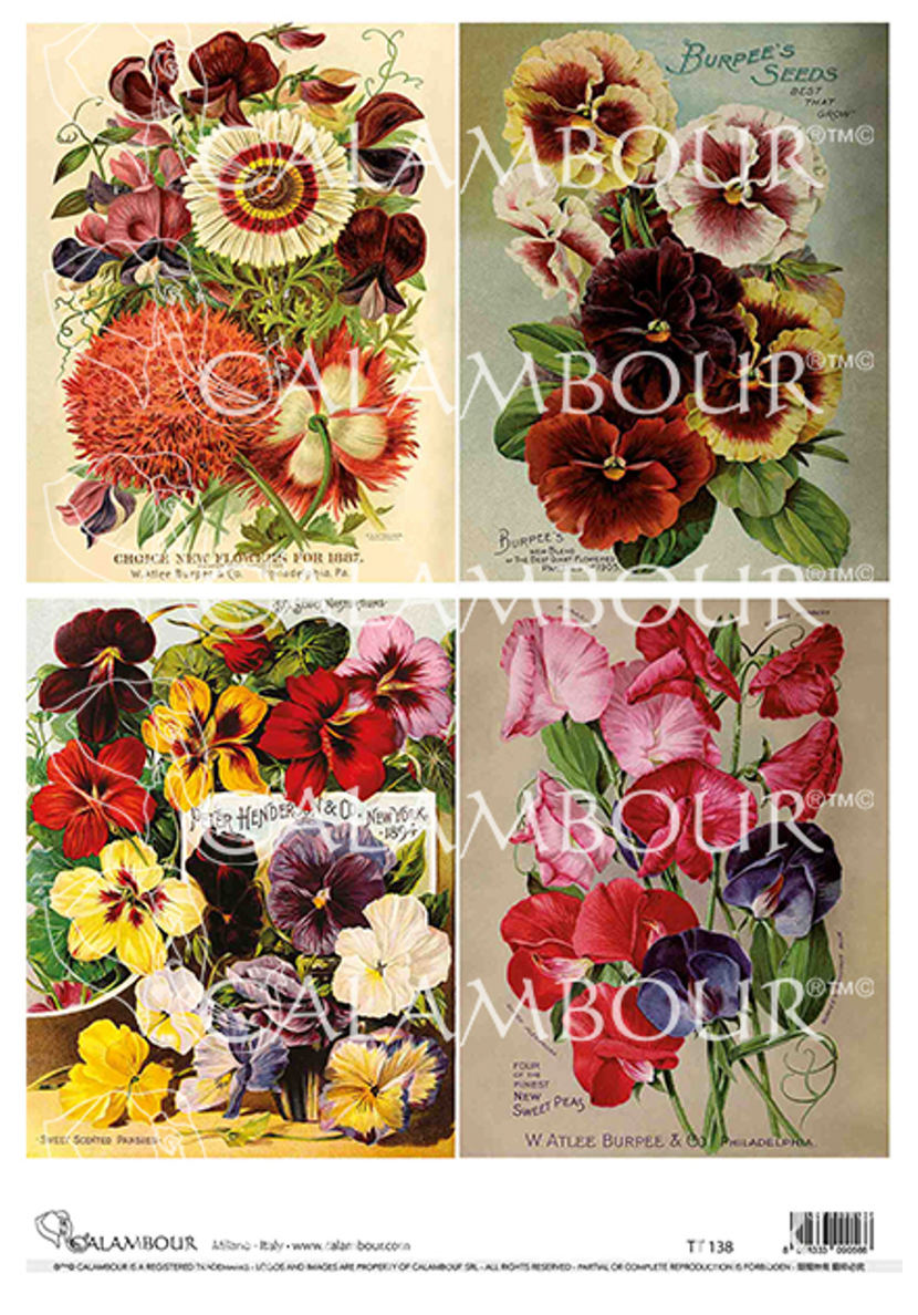Calambour Pansies and Sweet Peas 4 Pack A4 Rice Paper
