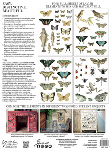 Entomology Etcetera IOD Transfer 12" x 16" | 4 Page Pad | Iron Orchid Designs