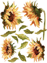 Load image into Gallery viewer, IOD PAINTERLY Florals transfer