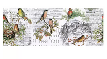 Load image into Gallery viewer, Tim Holtz Idea-ology Collage Paper 6&#39;&#39;x6 yds Aviary