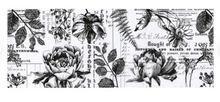 Load image into Gallery viewer, Tim Holtz Idea-ology Collage Paper 6&#39;&#39;x6 yds Botanical