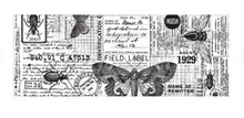 Load image into Gallery viewer, Tim Holtz Idea-ology Collage Paper 6&#39;&#39;x6 yds Entomology