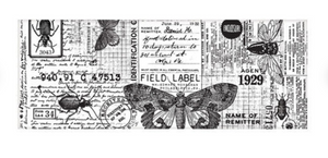 Tim Holtz Idea-ology Collage Paper 6''x6 yds Entomology