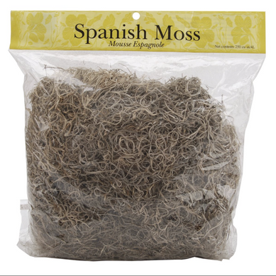 Spanish Moss, 250 cu in / 4L