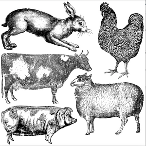 Farm Animals Decor Stamp, 12" x 12", Iron Orchid Designs