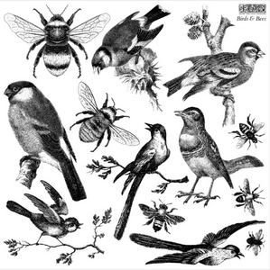 Birds & Bees, 12" x 12" IOD Decor Stamp - Iron Orchid Designs