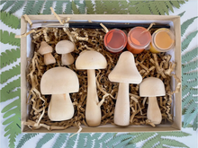 Load image into Gallery viewer, DIY Painted Mushroom Kit