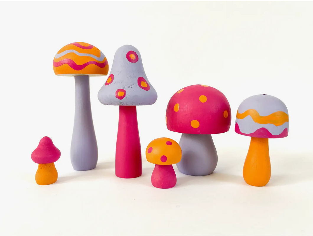 DIY Painted Mushroom Kit