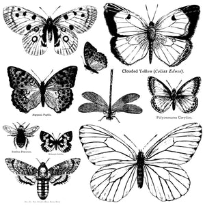 Iron Orchid Designs Decor Stamp, Butterflies, 12" x 12"
