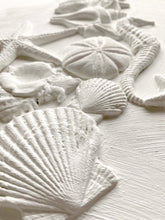 Load image into Gallery viewer, Sea Shells Decor Mould by IOD - Iron Orchid Designs