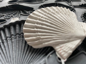Sea Shells Decor Mould by IOD - Iron Orchid Designs